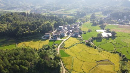 乡村